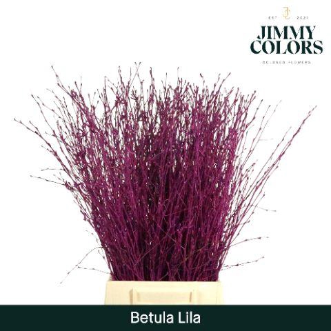 <h4>Betula L60 Lila</h4>
