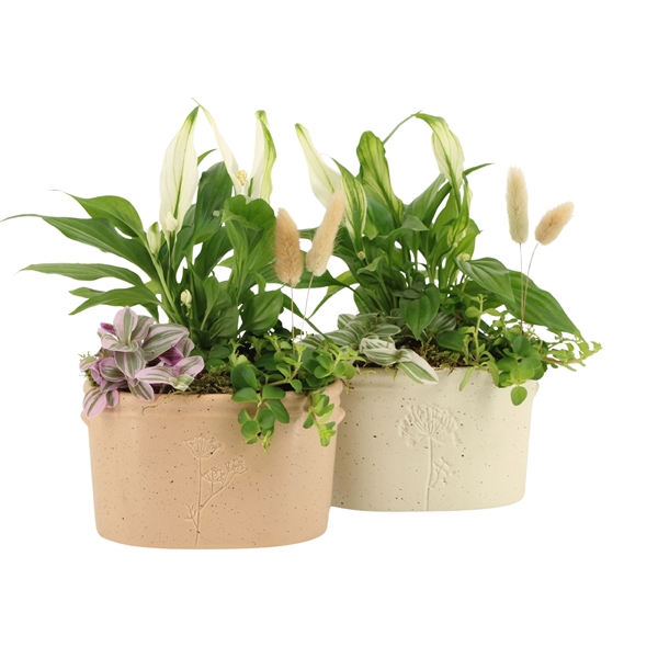 <h4>11478: Raw Beauty arrangement</h4>