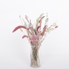 SETARIA PALMIFOLIA HONEST VASE