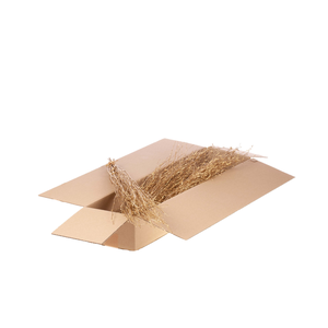 Birch 60cm 10pc Sb Gold