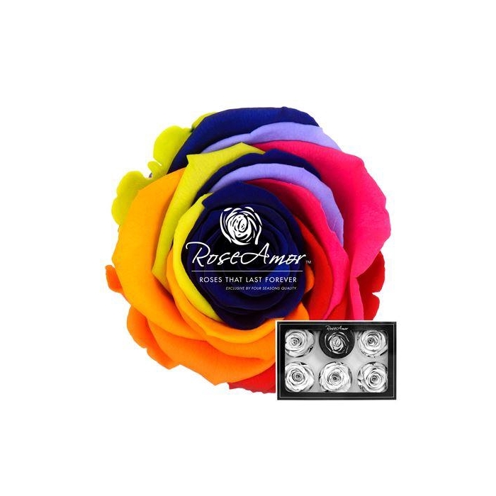 <h4>Xl Rainbow Blu03</h4>