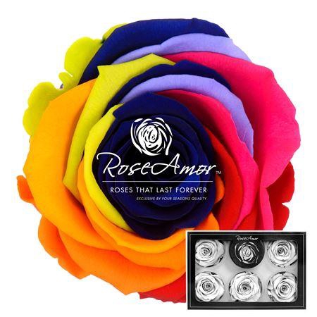 Xl Rainbow Blu03