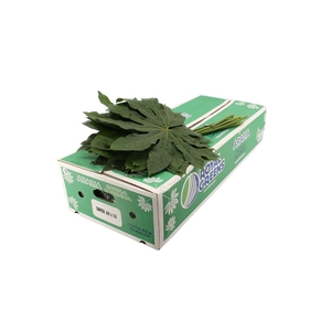 Aralia Super 70