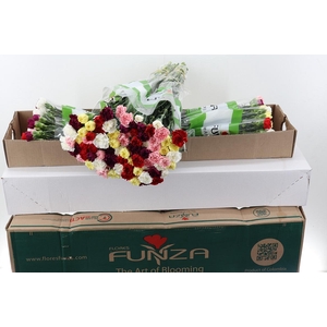 Di St Rainbow Mix Box