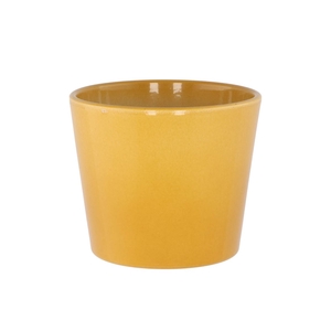 Ceramic Shiny Curry Pot 13cm