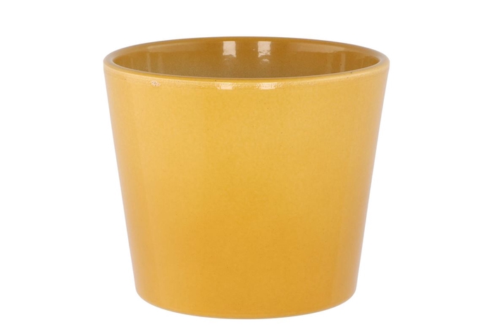 <h4>Ceramic Pot Curry Shiny 13cm</h4>