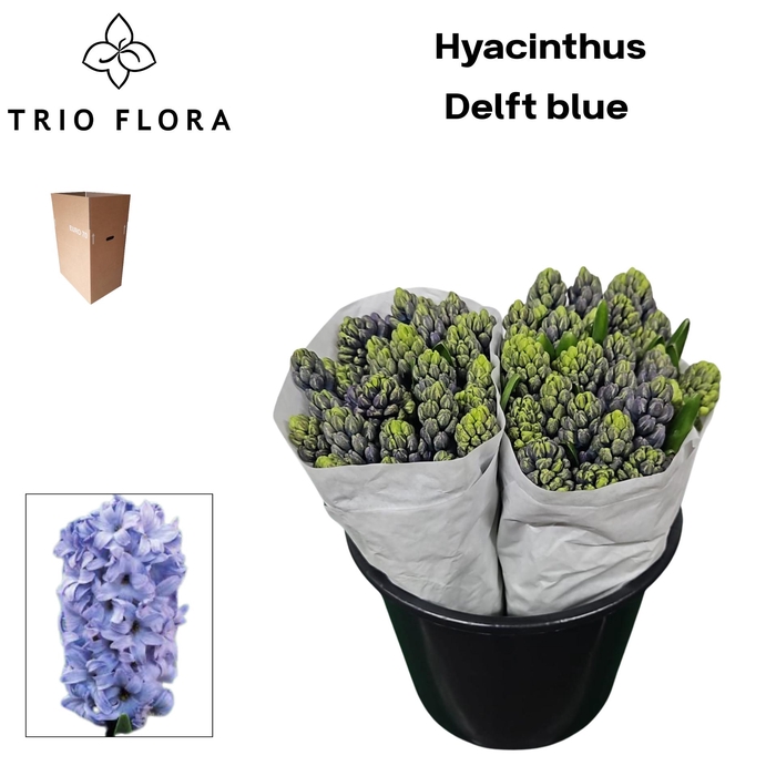 <h4>HYAC DELFT BLUE Aqua Box 50</h4>