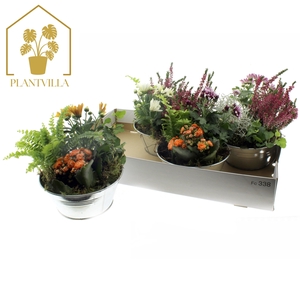 ARR TUINPLANTEN