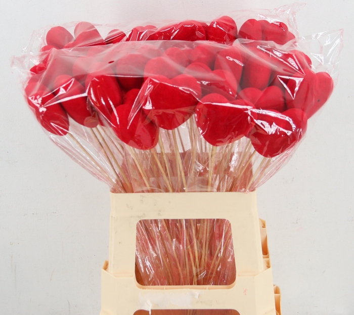 <h4>HARTJE OP STOK H%</h4>