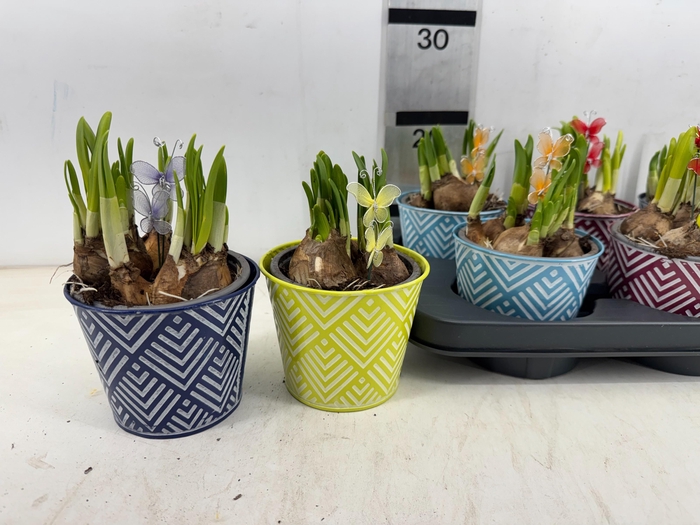 <h4>ARR N TETE A TETE</h4>