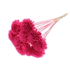 Shola Zinia Ø8cm on stem Cerise