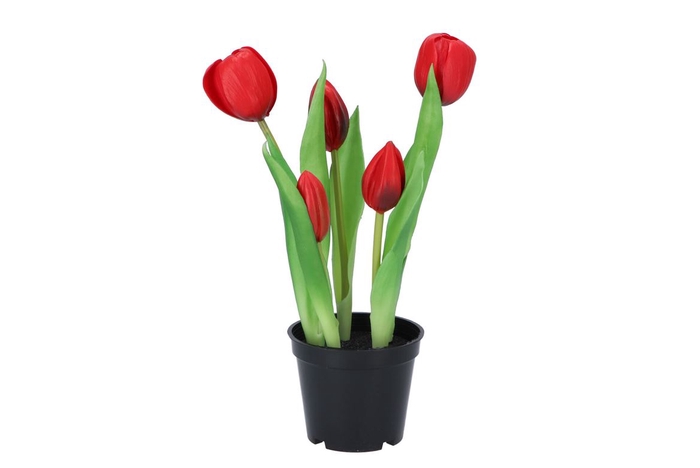 Silk Tulip In Pot 5x Red 26cm