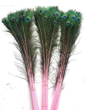 Feather Peacock L90/100 10pc/Bnd