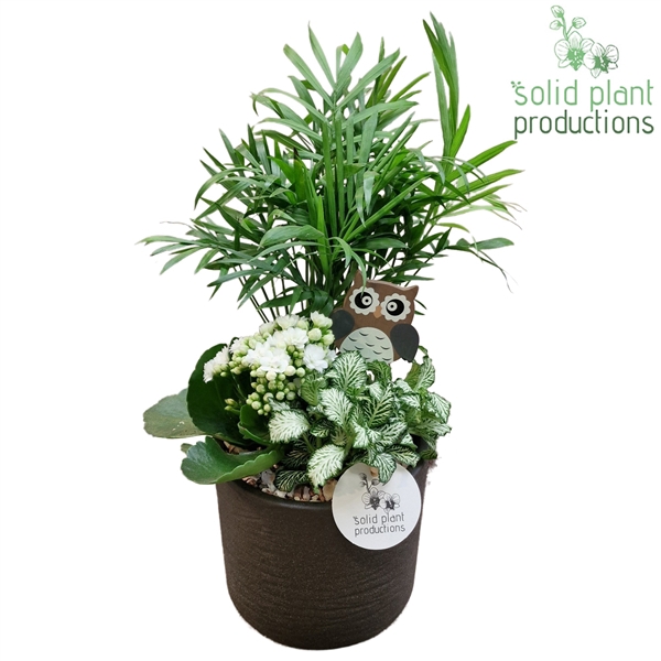 <h4>SC001 Amy Grey Stone Mix</h4>