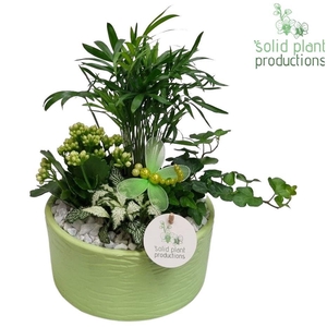 CH003 Loes Light Green