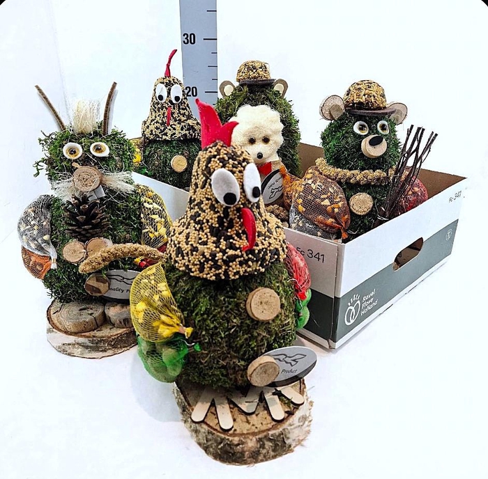 <h4>Dieren mix</h4>
