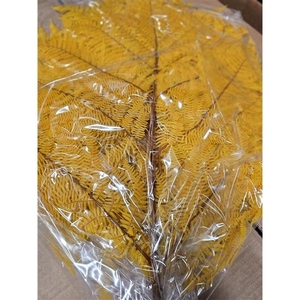 GESTABILISEERD VAREN GEEL