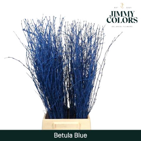<h4>Betula L70 Blue</h4>