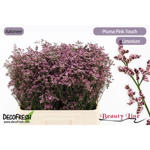 LIM PIUMA PINK TOUCH