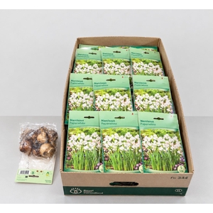 BLOEMBOL NARCIS