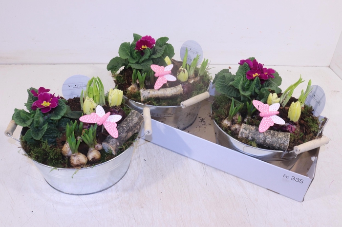 <h4>ARR TUINPLANTEN</h4>