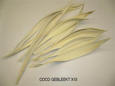 <h4>DROOG COCO GEBLEEKT KLEIN P.ZAK (X10)</h4>