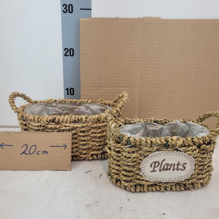 <h4>MANDWERK H%</h4>