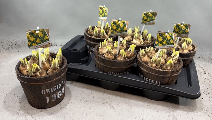 <h4>ARR N TETE A TETE</h4>