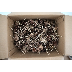 Pick pinecone d.4-6cm+10cm stick