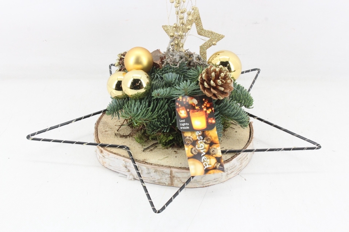 arr5 Kerst MB328 - Hout Schijf ster