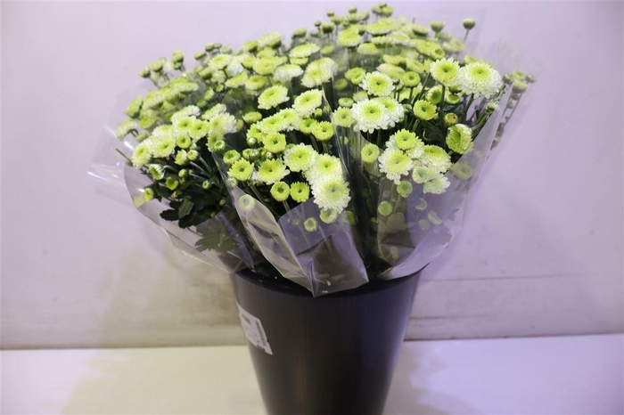 <h4>Chr S Ferry</h4>