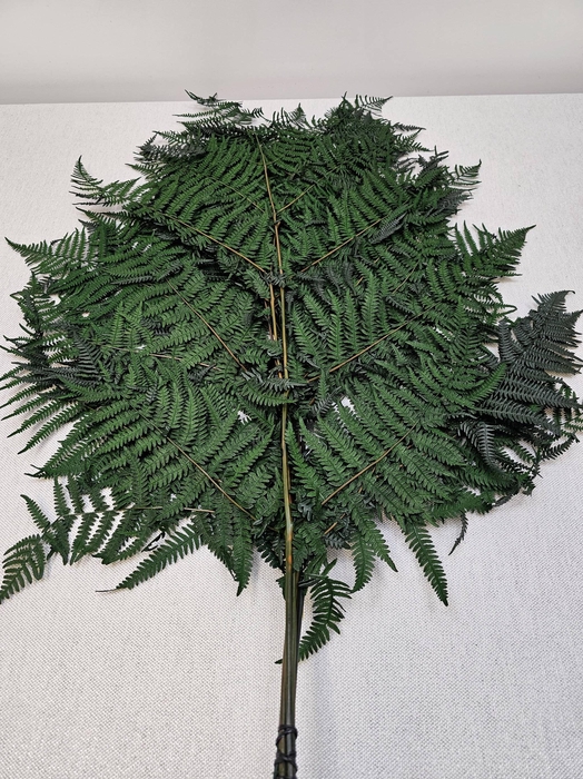 <h4>GESTABILISEERD VAREN GROEN</h4>