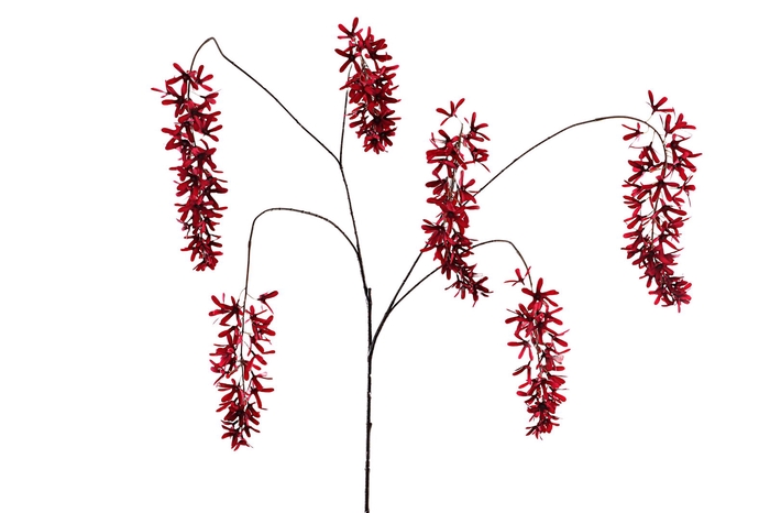 <h4>Lilium Hanging Spray Burgundy</h4>