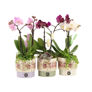 11629: Consideration arrangement