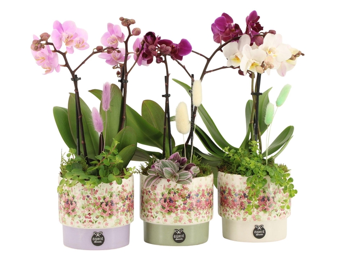 <h4>11629: Consideration arrangement</h4>