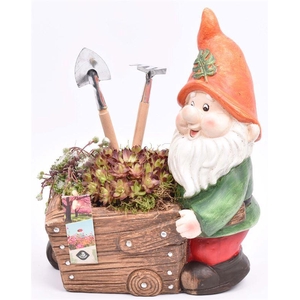 Cement kabouter met kruiwag 23x15cm