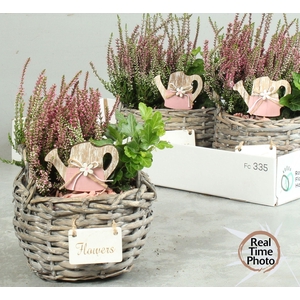 ARR TUINPLANTEN