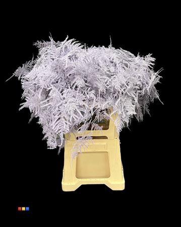 <h4>Asp Extra Light Milka</h4>