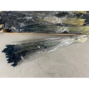 DF Phalaris Bs Black 100g