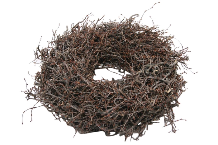 Wreath Wildly Bonsai  D45