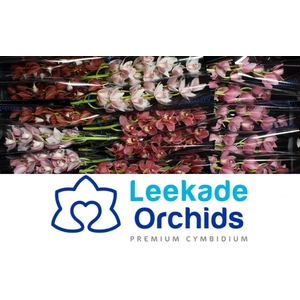CYMB MI MOTHER'S DAY MIX Leekade X8