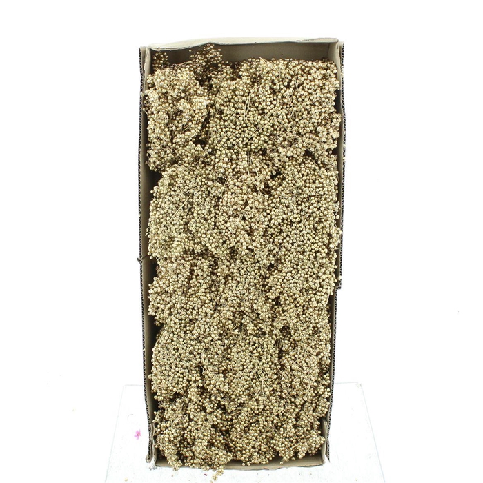 Dried Pepper Berries Antique Gold
