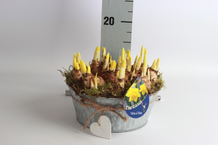 <h4>ARR N TETE A TETE</h4>