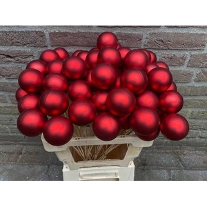 KUGEL AUF STAB H% ROT MATT