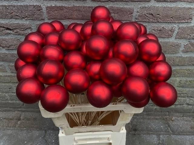 <h4>KUGEL AUF STAB H% ROT MATT</h4>