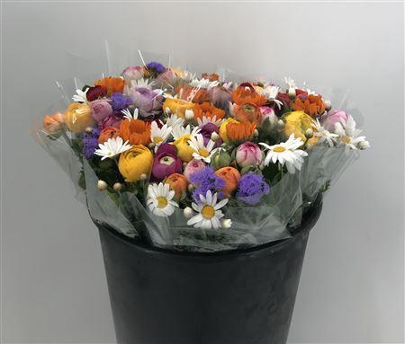 <h4>Bqt Primavera 10 Fiori</h4>