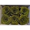 Ro Pres Classic Green Olive