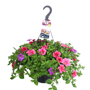 Hangpotten 37 cm met waterreservoir Mix 06 Hot Pink mix