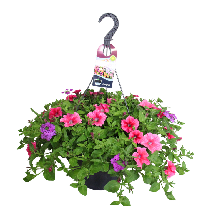 <h4>Hangpotten 37 cm met waterreservoir Mix 06 Hot Pink mix</h4>