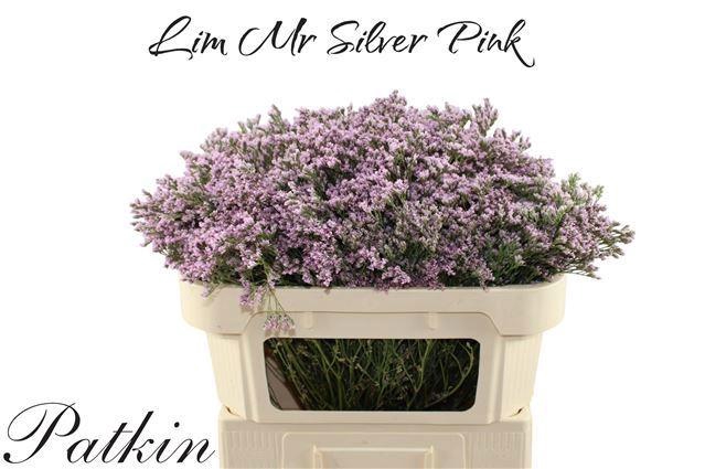 <h4>LIM MR SILVER PINK</h4>